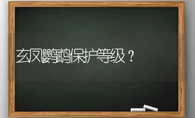 玄凤鹦鹉保护等级？ | 动物养殖问答