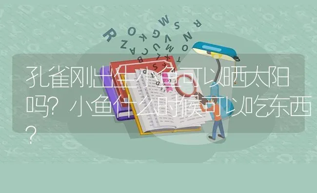 孔雀刚出生小鱼可以晒太阳吗？小鱼什么时候可以吃东西？ | 鱼类宠物饲养