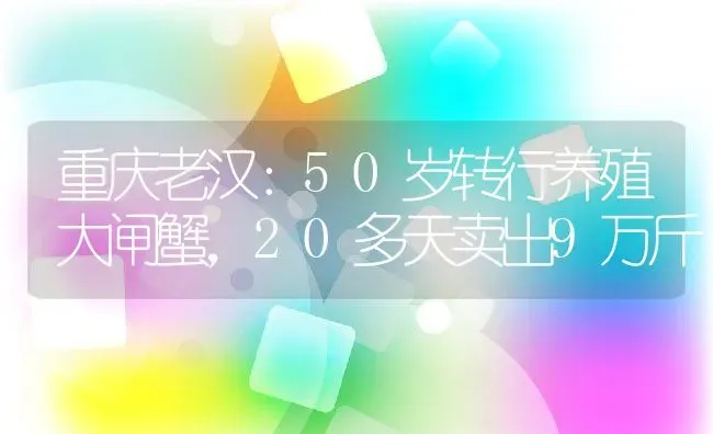 重庆老汉：50岁转行养殖大闸蟹，20多天卖出9万斤 | 动物养殖百科