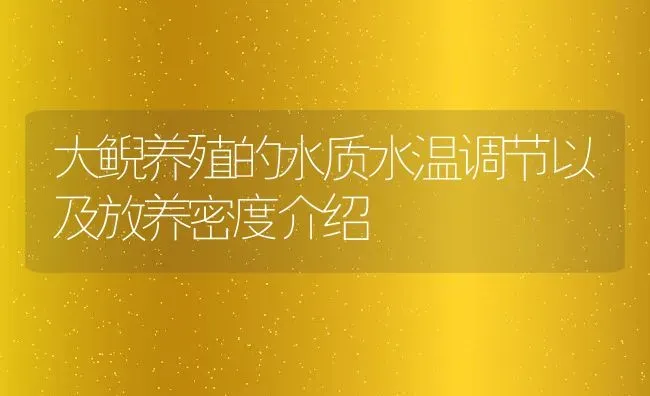 大鲵养殖的水质水温调节以及放养密度介绍 | 动物养殖百科