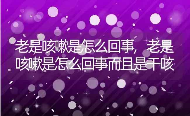 老是咳嗽是怎么回事,老是咳嗽是怎么回事而且是干咳 | 宠物百科知识