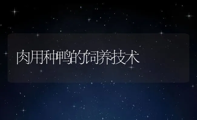 池塘鱼病传播途径及其预防 | 海水养殖技术