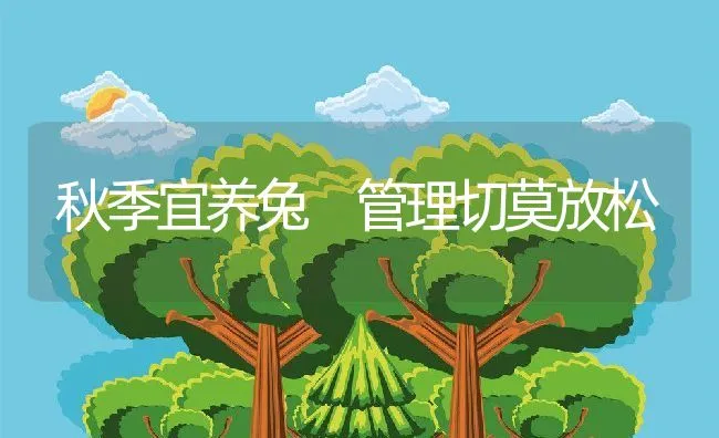 秋季宜养兔 管理切莫放松 | 动物养殖学堂