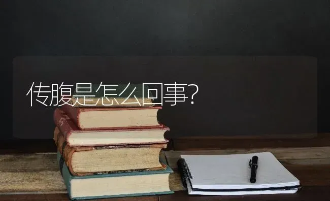 传腹是怎么回事？ | 动物养殖问答