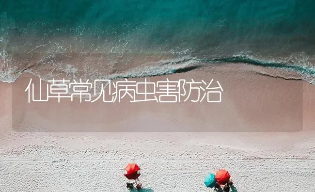 仙草常见病虫害防治 | 海水养殖技术