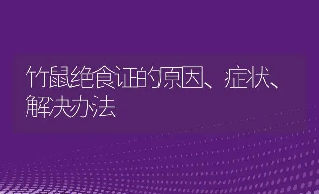 竹鼠绝食证的原因、症状、解决办法 | 动物养殖教程