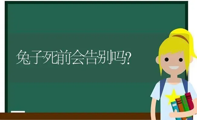 兔子死前会告别吗？ | 动物养殖问答