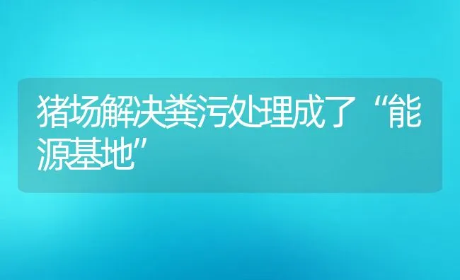 猪场解决粪污处理成了“能源基地” | 动物养殖饲料