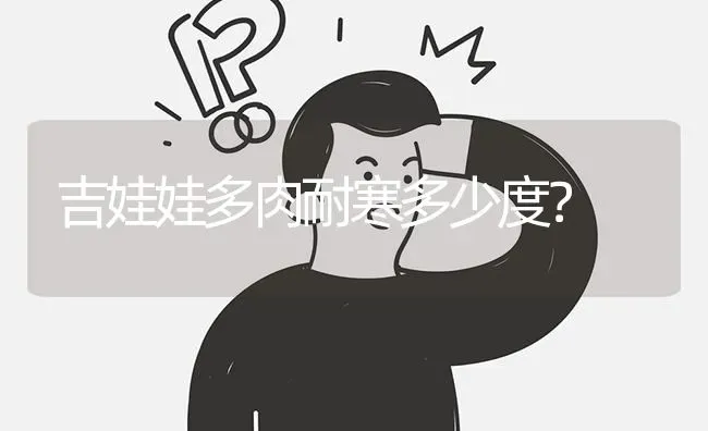 吉娃娃多肉耐寒多少度？ | 动物养殖问答