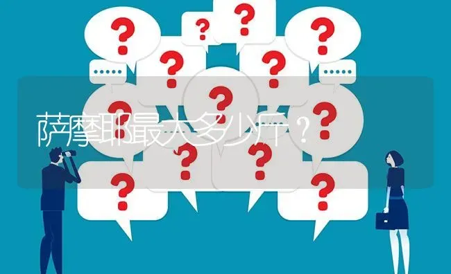 萨摩耶最大多少斤？ | 动物养殖问答