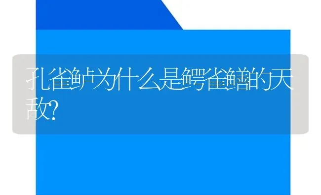 孔雀鲈为什么是鳄雀鳝的天敌？ | 鱼类宠物饲养