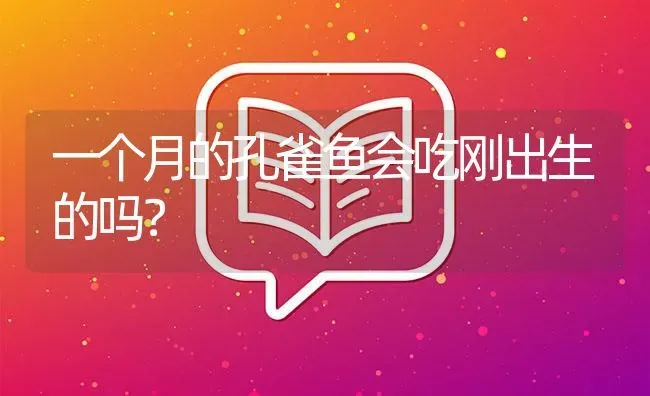 一个月的孔雀鱼会吃刚出生的吗？ | 鱼类宠物饲养