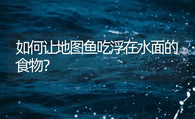 如何让地图鱼吃浮在水面的食物？ | 鱼类宠物饲养