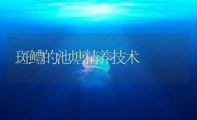 斑鳢的池塘精养技术 | 海水养殖技术