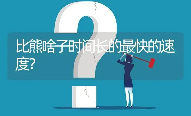 比熊啥子时间长的最快的速度？ | 动物养殖问答