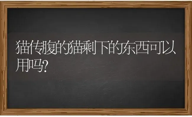 猫传腹的猫剩下的东西可以用吗？ | 动物养殖问答