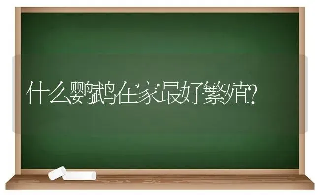 2021生肖对应表？ | 动物养殖问答