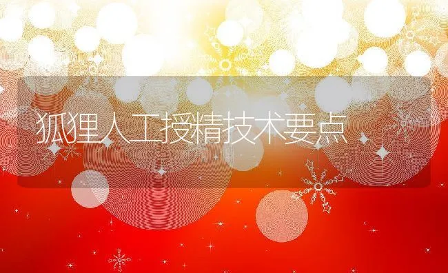 狐狸人工授精技术要点 | 水产养殖知识