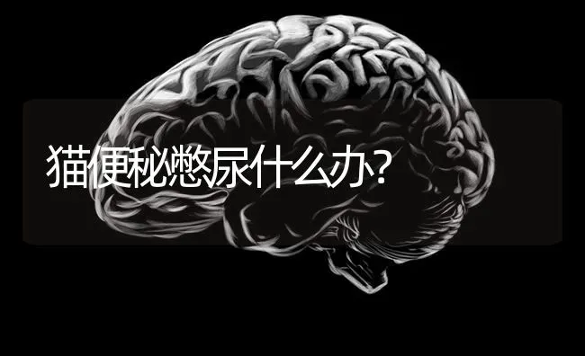 我的皇家纯种蓝猫猛吃就是不长肉，这种宠物是吃死也不胖的体质吗，我该怎么办？ | 动物养殖问答