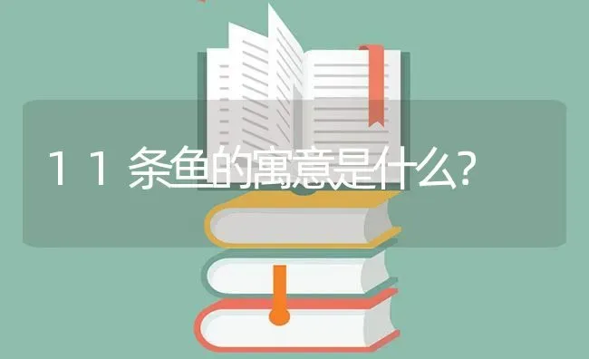 11条鱼的寓意是什么？ | 鱼类宠物饲养