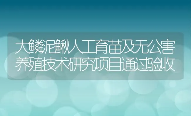 大鳞泥鳅人工育苗及无公害养殖技术研究项目通过验收 | 动物养殖学堂