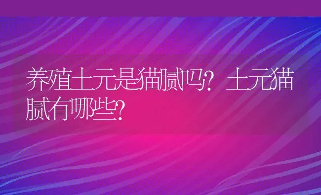 养殖土元是猫腻吗？土元猫腻有哪些？ | 动物养殖百科