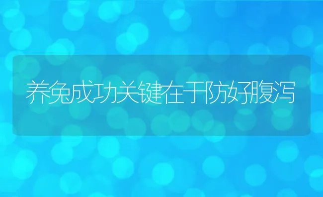 养兔成功关键在于防好腹泻 | 水产养殖知识