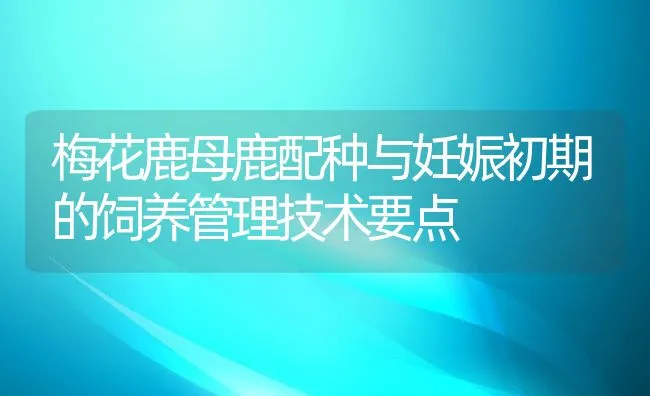 梅花鹿母鹿配种与妊娠初期的饲养管理技术要点 | 动物养殖学堂