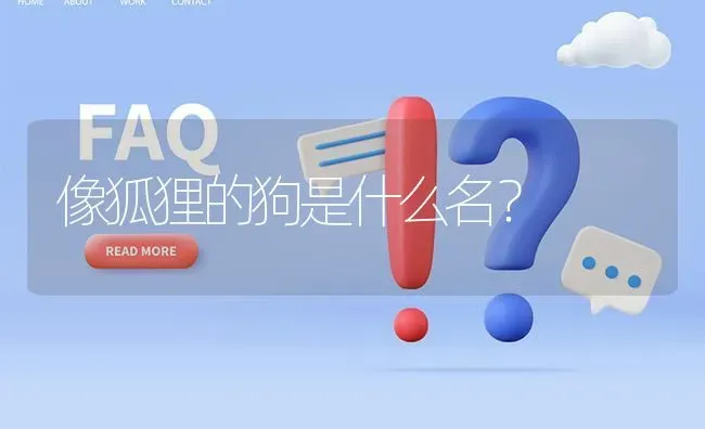 像狐狸的狗是什么名？ | 动物养殖问答