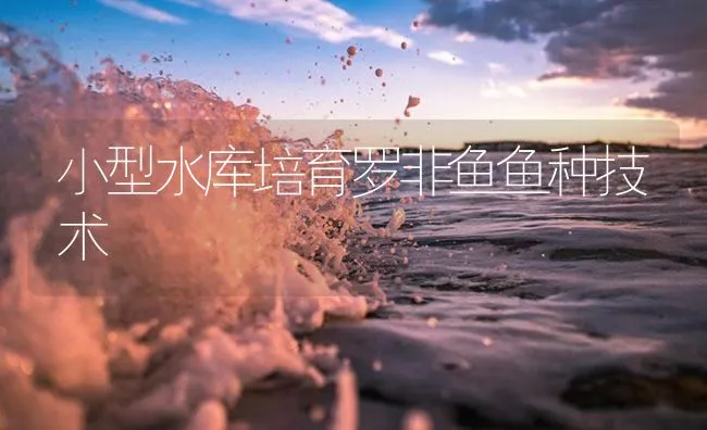 小型水库培育罗非鱼鱼种技术 | 海水养殖技术