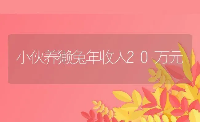 小伙养獭兔年收入20万元 | 动物养殖教程