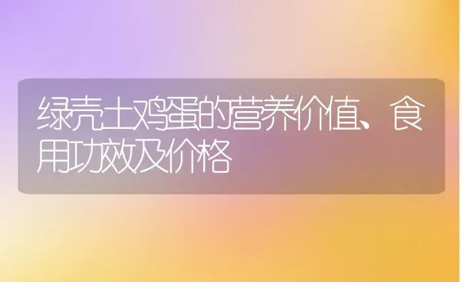 绿壳土鸡蛋的营养价值、食用功效及价格 | 动物养殖百科