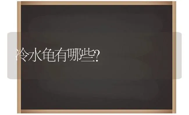 冷水龟有哪些？ | 动物养殖问答