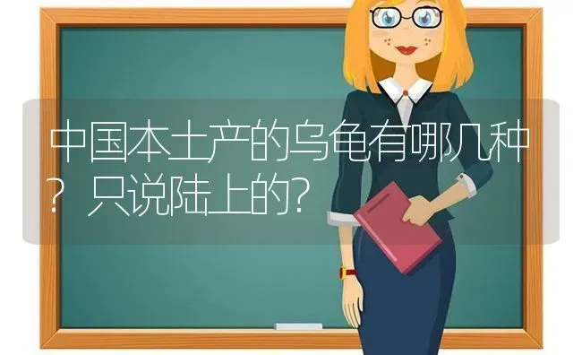 狗最怕什么?有什么方法可以使狗既不敢靠近你又不狂吠？ | 动物养殖问答