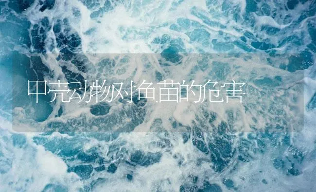 甲壳动物对鱼苗的危害 | 海水养殖技术