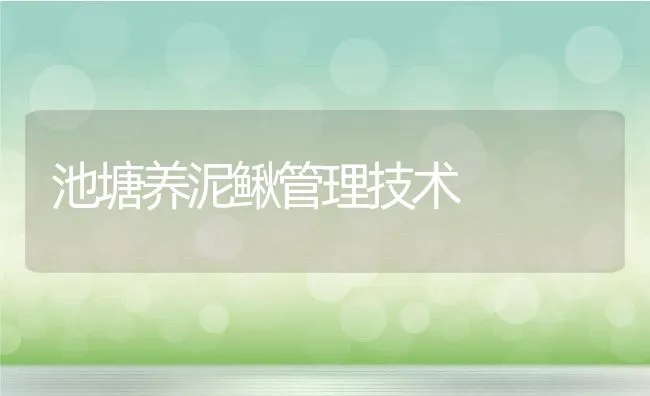 池塘养泥鳅管理技术 | 动物养殖饲料