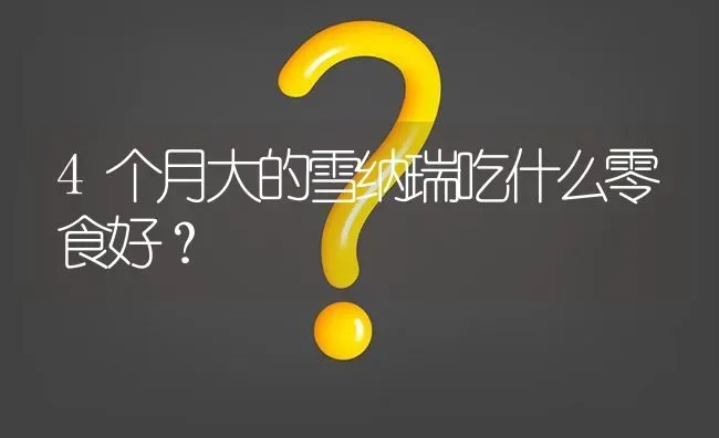 4个月大的雪纳瑞吃什么零食好？ | 动物养殖问答