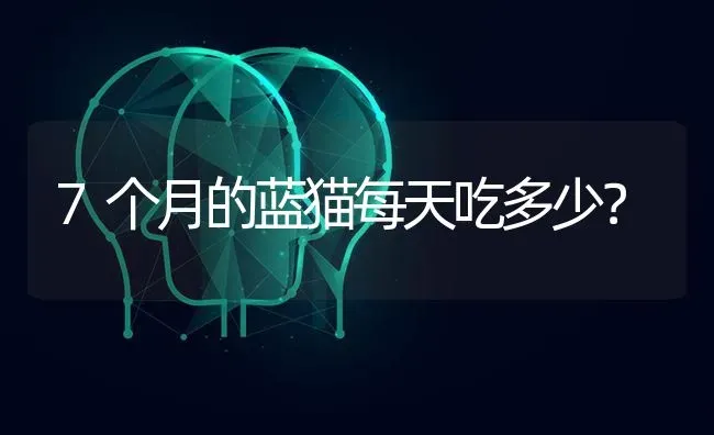 柯基靠脚怎么练？ | 动物养殖问答