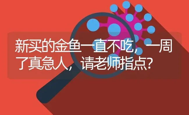 新买的金鱼一直不吃，一周了真急人，请老师指点？ | 鱼类宠物饲养