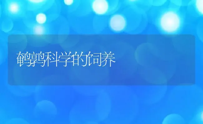 猪病防制出路在哪里 解决之道有三点 | 动物养殖学堂