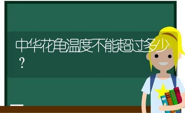 中华花龟温度不能超过多少？ | 动物养殖问答