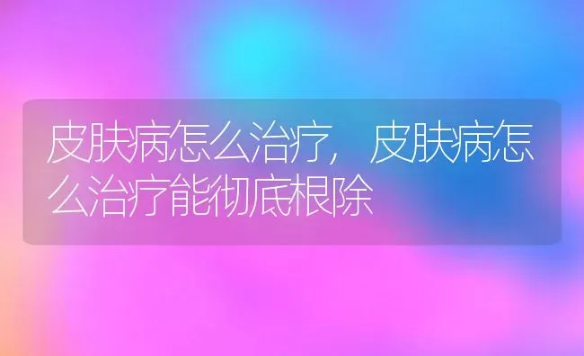 皮肤病怎么治疗,皮肤病怎么治疗能彻底根除 | 宠物百科知识