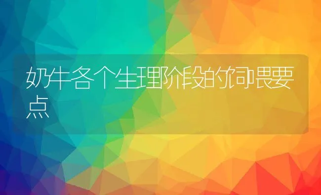 奶牛各个生理阶段的饲喂要点 | 动物养殖学堂