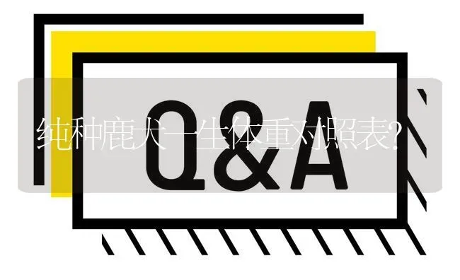 纯种鹿犬一生体重对照表？ | 动物养殖问答