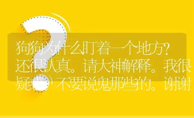 狗狗为什么盯着一个地方？还很认真。请大神解释。我很疑惑。不要说鬼那些的。谢谢各位了？ | 动物养殖问答