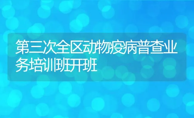 第三次全区动物疫病普查业务培训班开班 | 动物养殖饲料