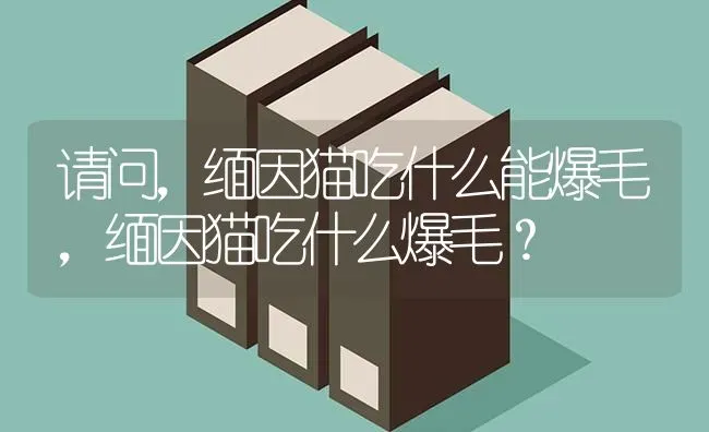 请问，缅因猫吃什么能爆毛，缅因猫吃什么爆毛？ | 动物养殖问答