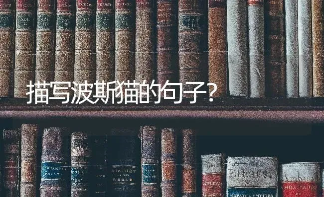 怎么教狗狗定点大小便，来个有效的，狗狗在室内养的？ | 动物养殖问答