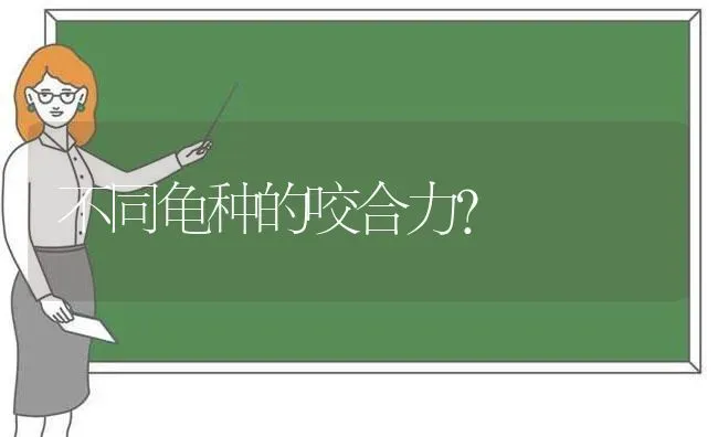 不同龟种的咬合力？ | 动物养殖问答