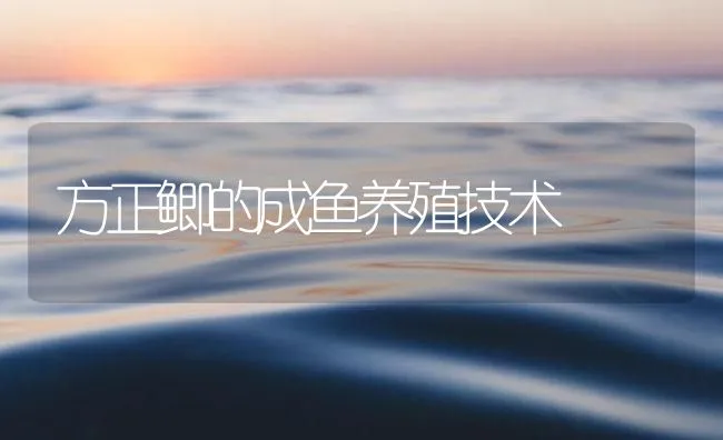 方正鲫的成鱼养殖技术 | 海水养殖技术